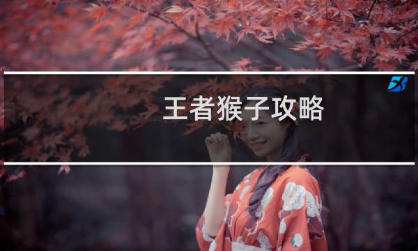 王者猴子攻略
