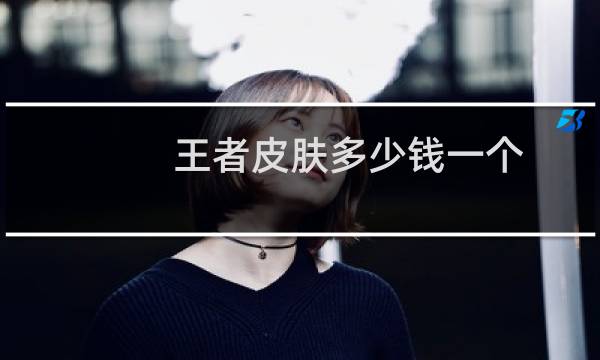 王者皮肤多少钱一个