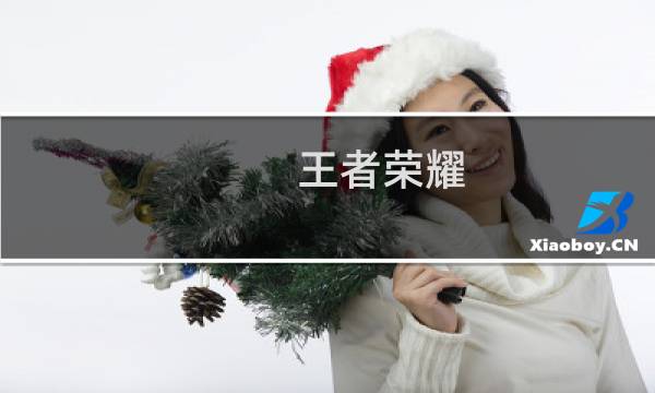 王者荣耀 P攻略
