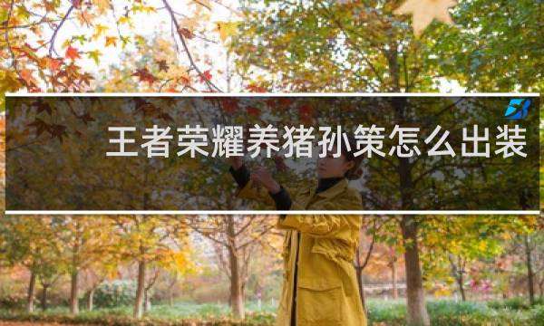 王者荣耀养猪孙策怎么出装