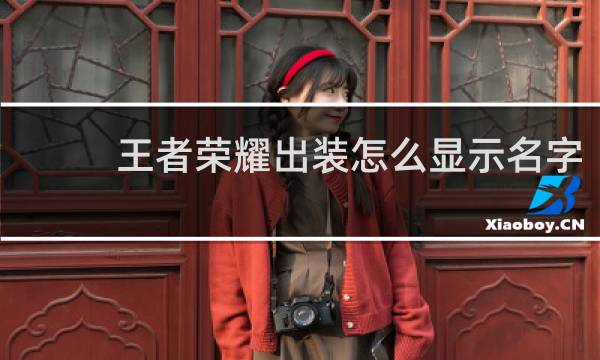 王者荣耀出装怎么显示名字