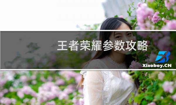 王者荣耀参数攻略