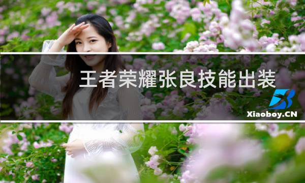 王者荣耀张良技能出装