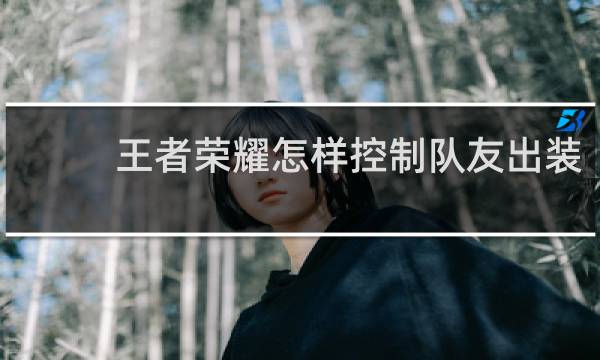 王者荣耀怎样控制队友出装