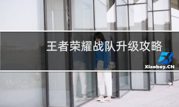 王者荣耀战队升级攻略