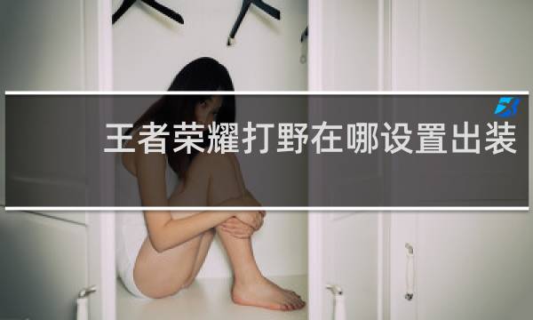 王者荣耀打野在哪设置出装