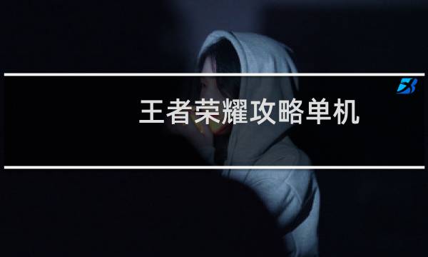 王者荣耀攻略单机