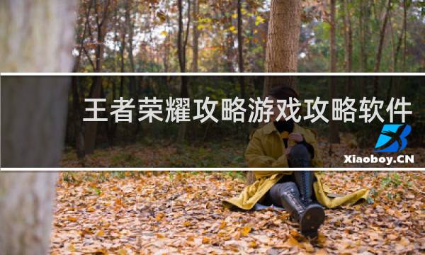 王者荣耀攻略游戏攻略软件