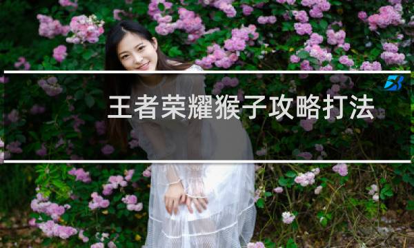 王者荣耀猴子攻略打法