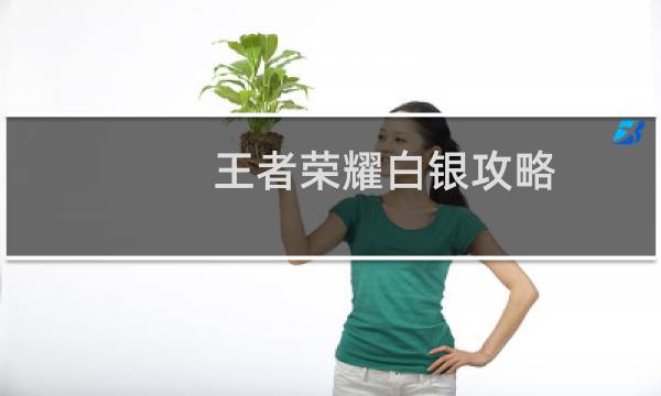 王者荣耀白银攻略