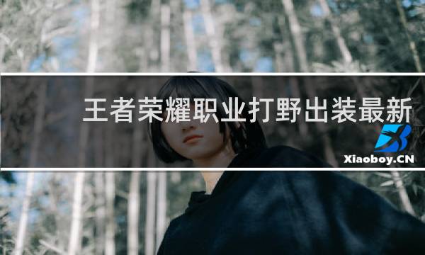 王者荣耀职业打野出装最新