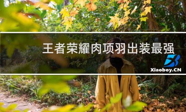 王者荣耀肉项羽出装最强