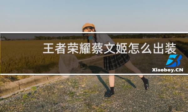 王者荣耀蔡文姬怎么出装