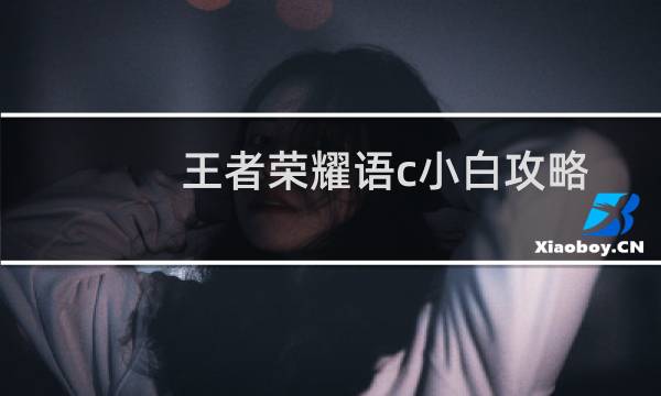 王者荣耀语c小白攻略