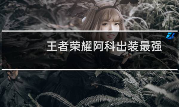 王者荣耀阿科出装最强