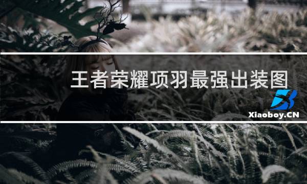 王者荣耀项羽最强出装图