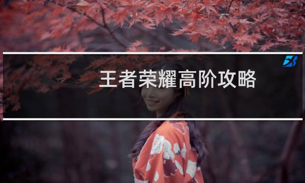 王者荣耀高阶攻略