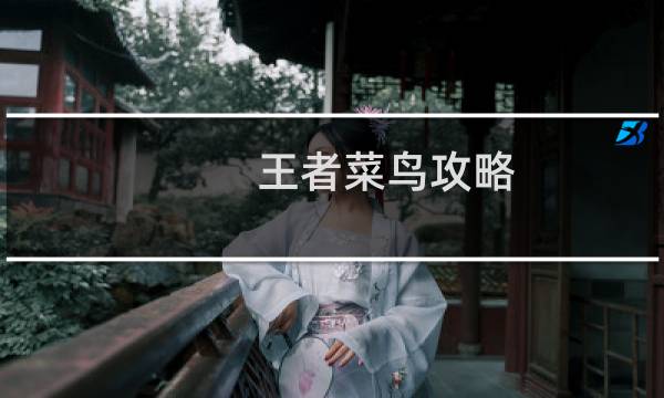 王者菜鸟攻略