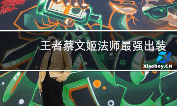 王者蔡文姬法师最强出装