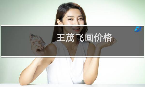 王茂飞画价格