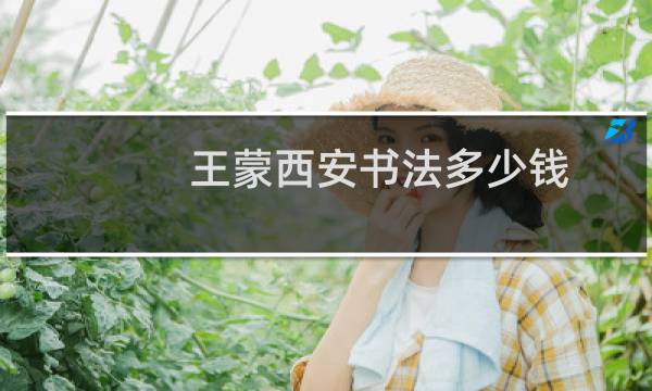 王蒙西安书法多少钱