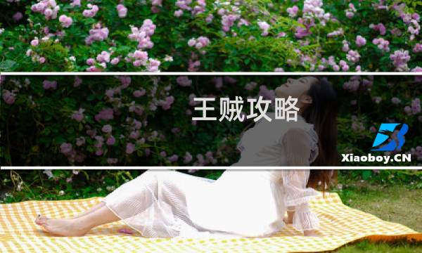王贼攻略