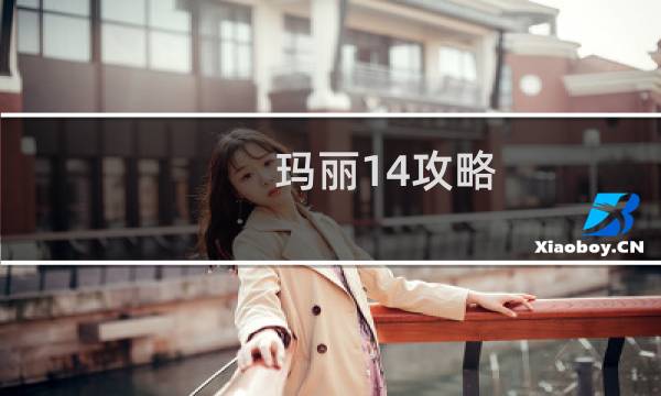 玛丽14攻略