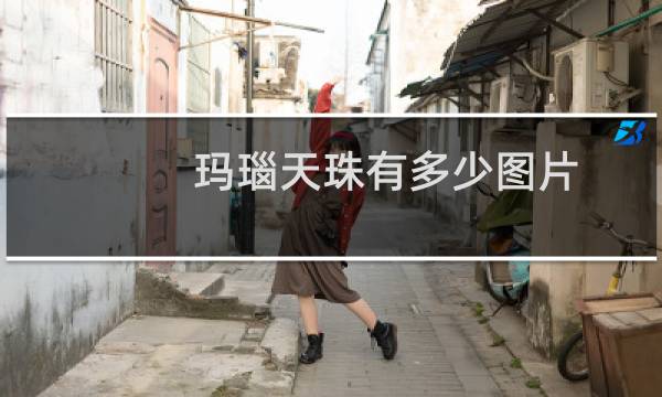 玛瑙天珠有多少图片
