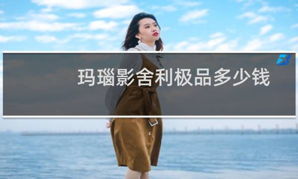 玛瑙影舍利极品多少钱