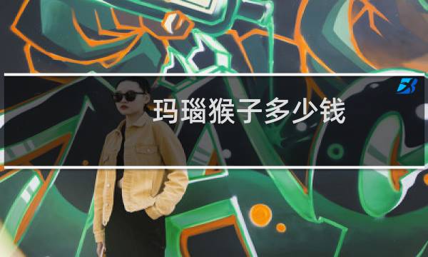 玛瑙猴子多少钱