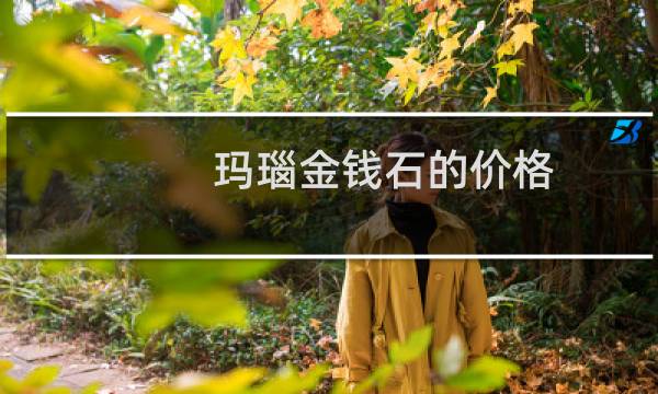 玛瑙金钱石的价格