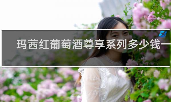 玛茜红葡萄酒尊享系列多少钱一瓶