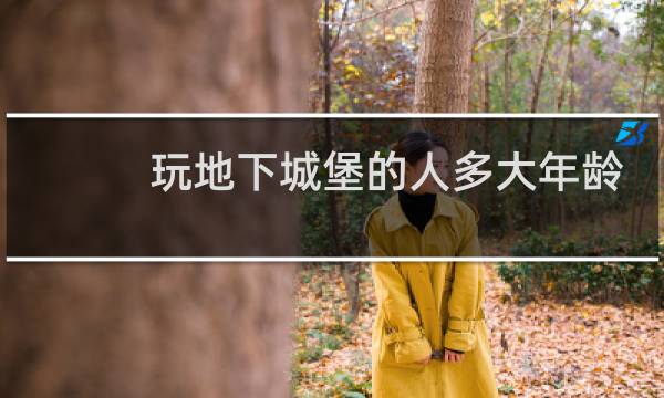 玩地下城堡的人多大年龄