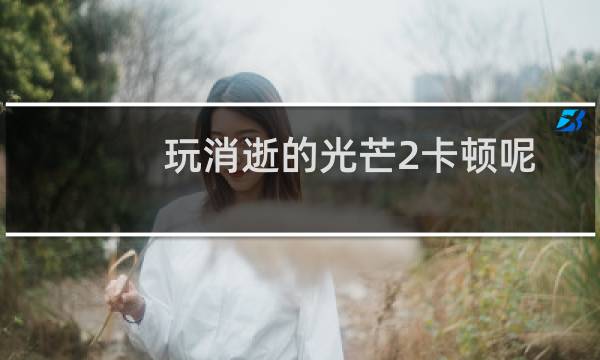 玩消逝的光芒2卡顿呢