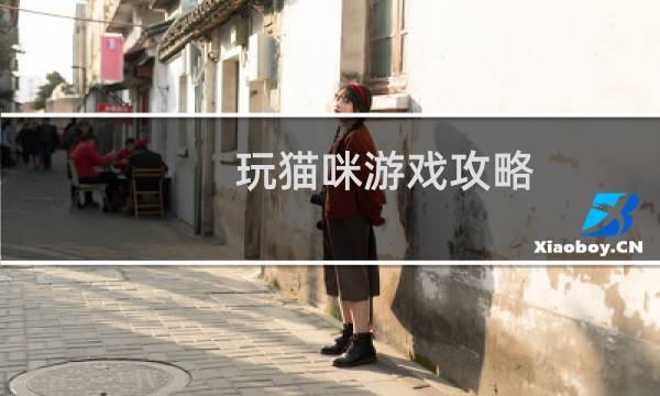 玩猫咪游戏攻略
