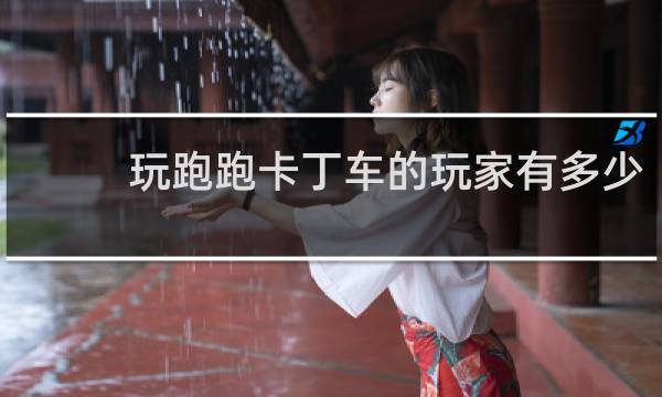 玩跑跑卡丁车的玩家有多少