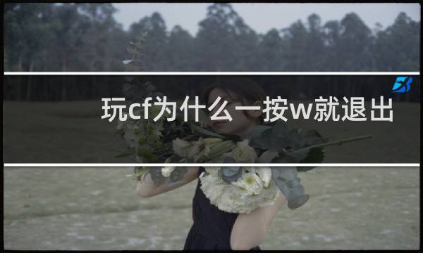 玩cf为什么一按w就退出