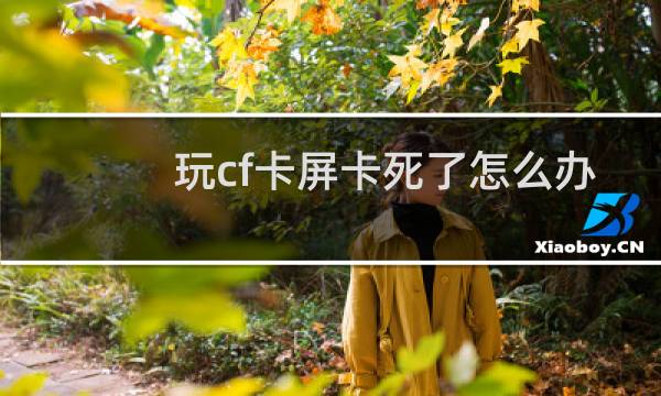 玩cf卡屏卡死了怎么办