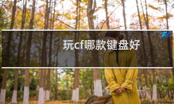 玩cf哪款键盘好