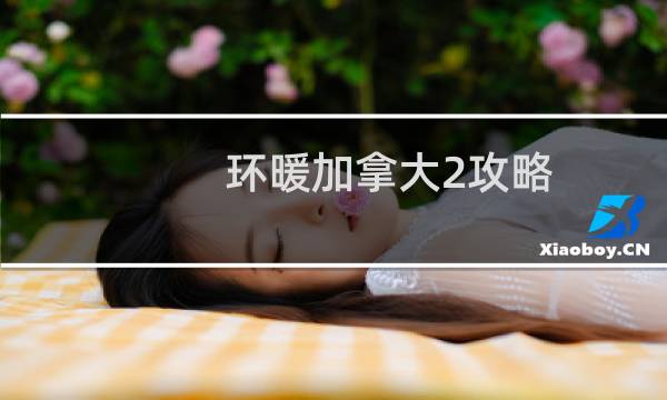 环暖加拿大2攻略