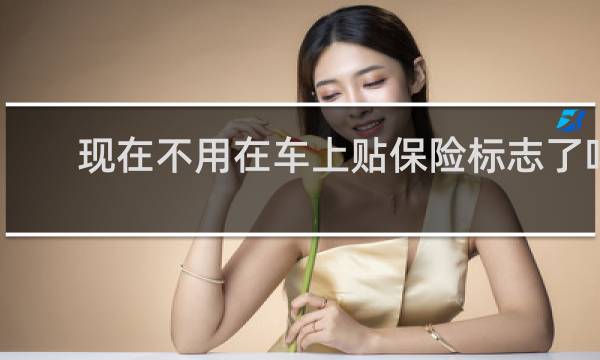 现在不用在车上贴保险标志了吗