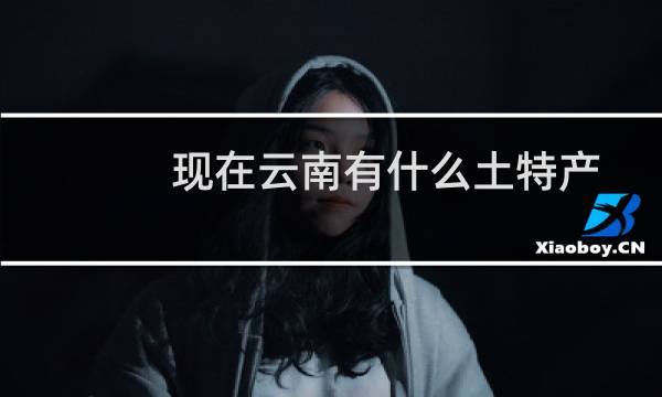 现在云南有什么土特产