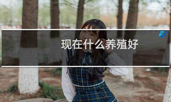 现在什么养殖好