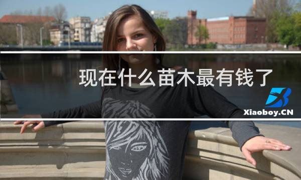 现在什么苗木最有钱了