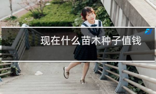 现在什么苗木种子值钱