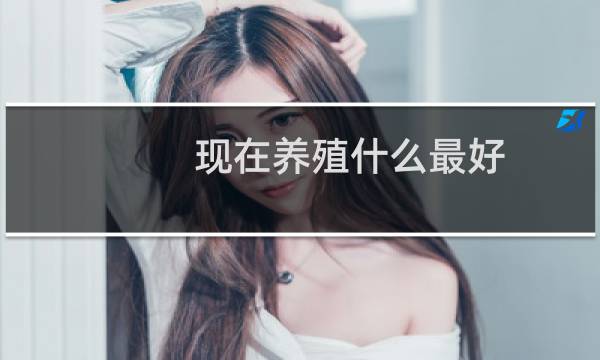 现在养殖什么最好