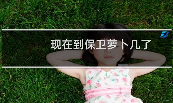 现在到保卫萝卜几了