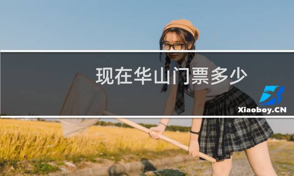 现在华山门票多少