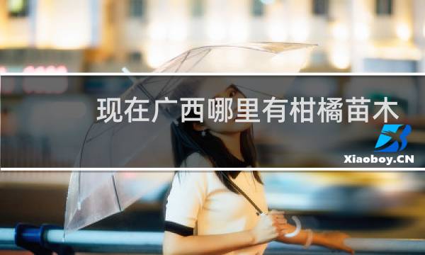 现在广西哪里有柑橘苗木