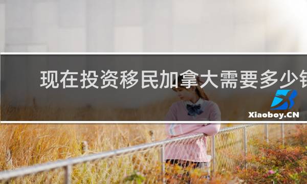 现在投资移民加拿大需要多少钱